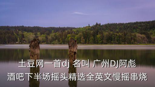土豆網一首dj 名叫 廣州DJ阿彪酒吧下半場搖頭精選全英文慢搖串燒