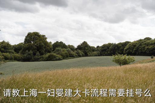 請教上海一婦嬰建大卡流程需要掛號么