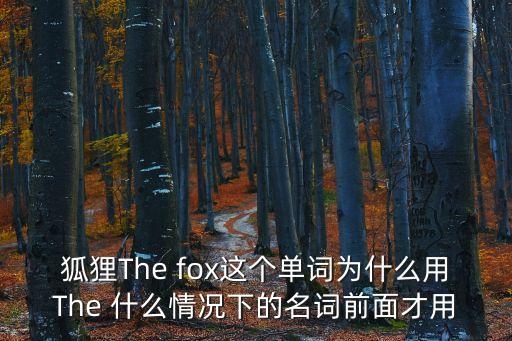 狐貍的英語，The Fox什么意思
