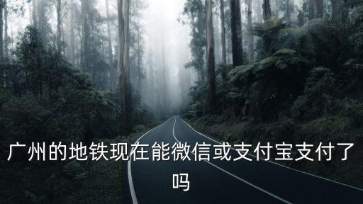 廣州的地鐵現(xiàn)在能微信或支付寶支付了嗎