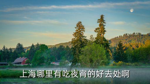 上海市夜場門口夜宵，上海哪里有吃夜宵的地方