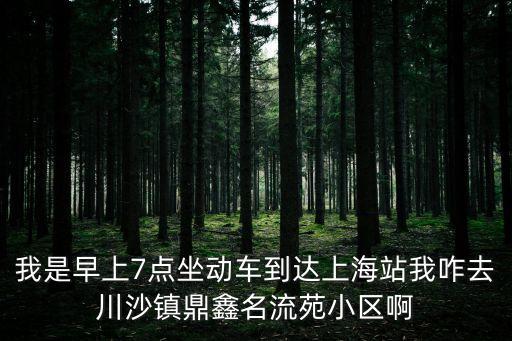 我是早上7點坐動車到達(dá)上海站我咋去川沙鎮(zhèn)鼎鑫名流苑小區(qū)啊