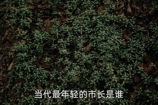 當代最年輕的市長是誰