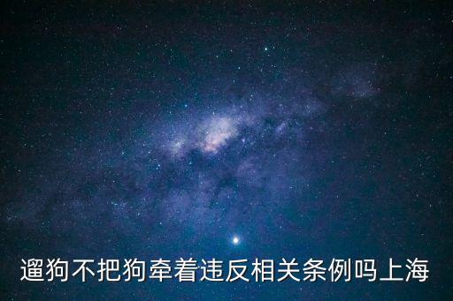 遛狗不把狗牽著違反相關條例嗎上海