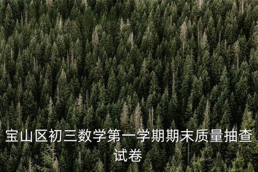 寶山區初三數學第一學期期末質量抽查試卷