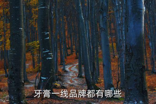 牙膏一線品牌都有哪些