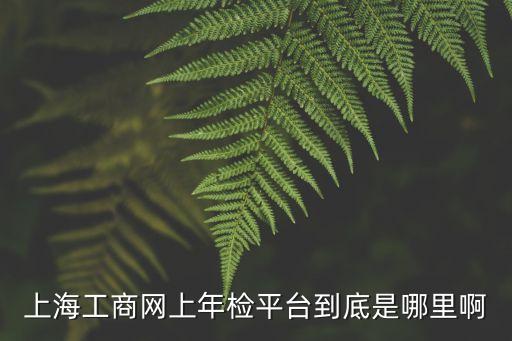 上海市年報(bào)網(wǎng)址，上市公司 歷史年報(bào)在什么網(wǎng)址看啊