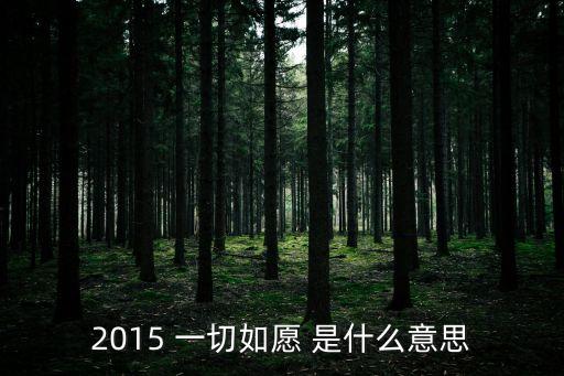 2015 一切如愿 是什么意思