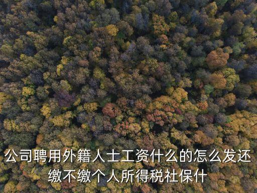 公司聘用外籍人士工資什么的怎么發還繳不繳個人所得稅社保什
