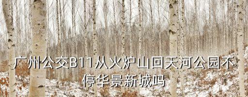 廣州b11不發車，廣州公交路線B11