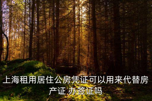 上海租用居住公房憑證可以用來代替房產證 辦簽證嗎