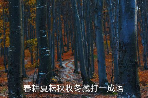春耕夏耘秋收冬藏，猜謎語(yǔ) 春耕夏耘秋收冬藏 成語(yǔ)