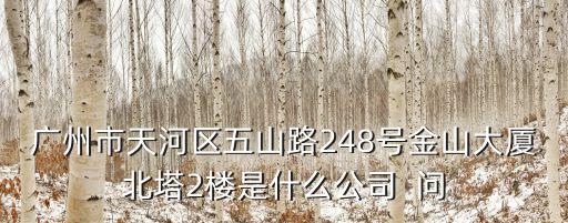 廣州緯泰網絡科技有限公司，廣州市天河區五山路248號金山大廈北塔2樓是什么公司  問