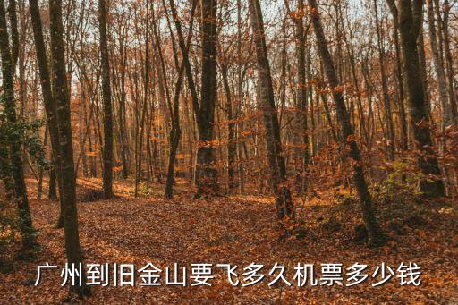 廣州到舊金山要飛多久機票多少錢