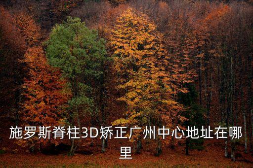 施羅斯脊柱3D矯正廣州中心地址在哪里