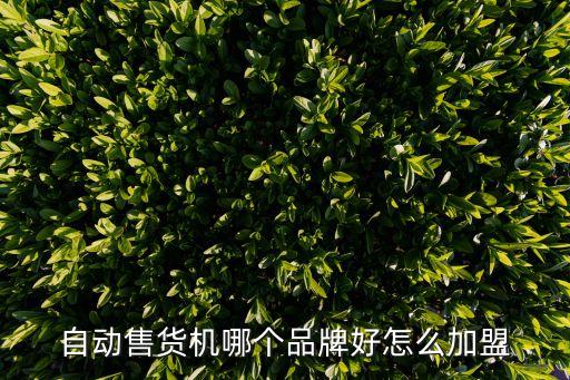 自動售貨機哪個品牌好怎么加盟