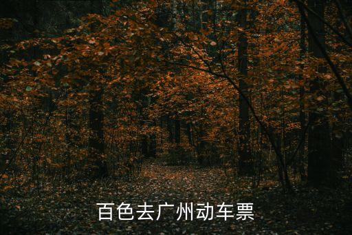 百色去廣州動車票