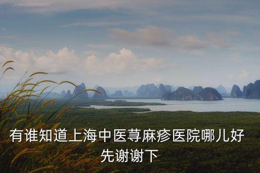 有誰知道上海中醫蕁麻疹醫院哪兒好 先謝謝下