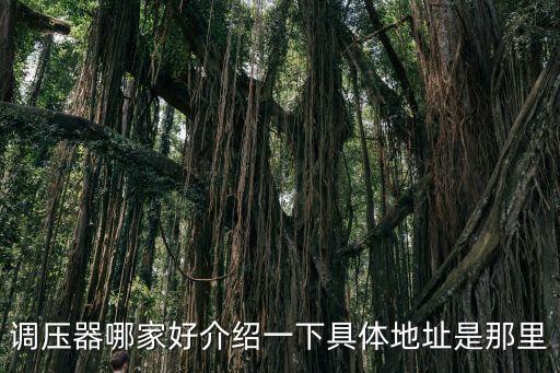 上海市開(kāi)盈電器有限公司，調(diào)壓器哪家好介紹一下具體地址是那里