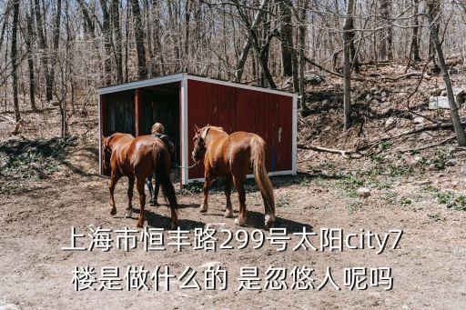 上海市太陽城，太陽城哪個城