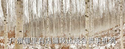 廣州盈利店鋪轉讓，廣州有什么店鋪轉讓的中介公司嗎