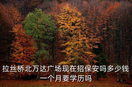 拉絲橋北萬達廣場現(xiàn)在招保安嗎多少錢一個月要學歷嗎
