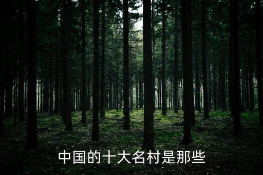 市場第一村一一上海市，中國第一村是那個村