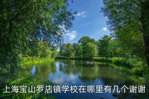 上海寶山羅店鎮(zhèn)學校在哪里有幾個謝謝
