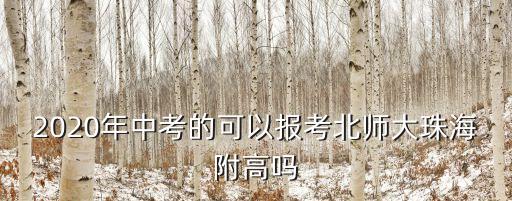 北師大廣州實驗學校2020年中考招生，今年實驗中招錄取分是多少