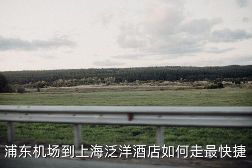 上海市泛洋酒店，上海泛洋度假村有限責任公司在上海的什么區