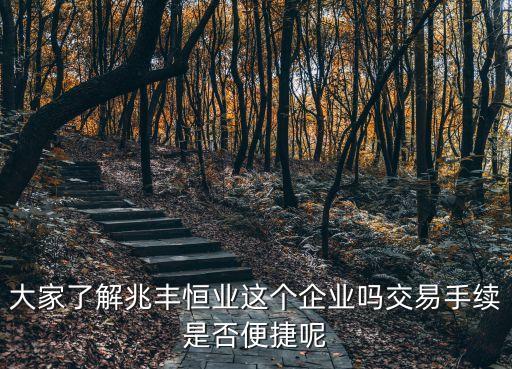 大家了解兆豐恒業(yè)這個(gè)企業(yè)嗎交易手續(xù)是否便捷呢