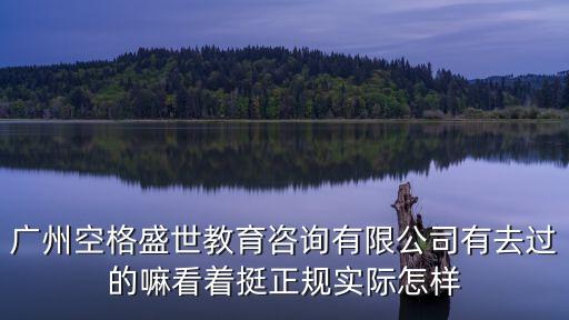廣州空格控股集團，廣州空格教育怎么樣 有人去過嗎