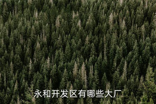 廣州永和都有什么廠，永和開發區有哪些大廠