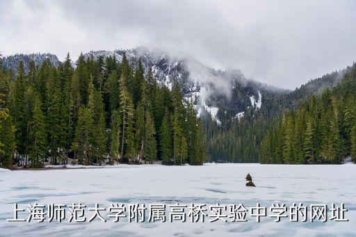 上海市高橋實驗中學圖片，上海市高橋中學浦東新區那所高中 是市重點還是區重點