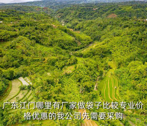 廣州裕興紙袋，廣東有哪個(gè)地方專門做袋子