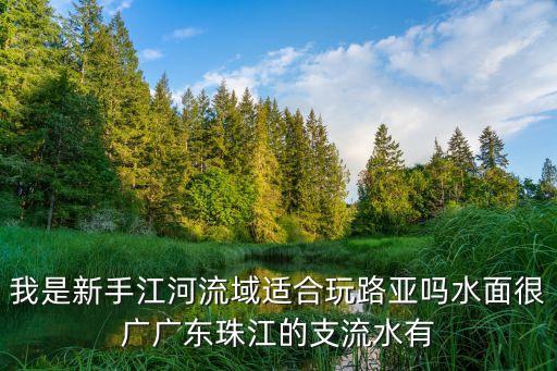 廣州珠江合適路亞嗎，我是新手江河流域適合玩路亞嗎水面很廣廣東珠江的支流水有