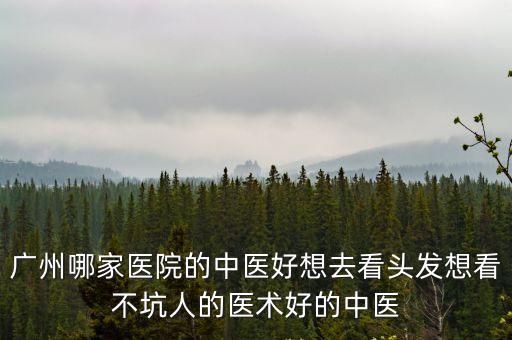 廣州哪家醫院的中醫好想去看頭發想看不坑人的醫術好的中醫