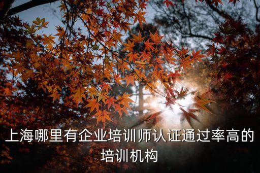 上海市知識(shí)產(chǎn)權(quán)試點(diǎn)企業(yè)培訓(xùn)，如何給企業(yè)進(jìn)行知識(shí)產(chǎn)權(quán)培訓(xùn)
