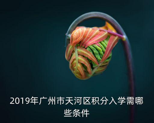 2019年廣州市天河區積分入學需哪些條件