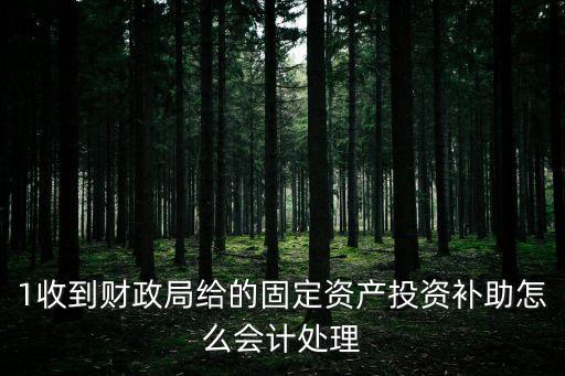 1收到財政局給的固定資產投資補助怎么會計處理