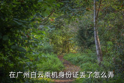 在廣州白云乘機身份證丟了怎么弄