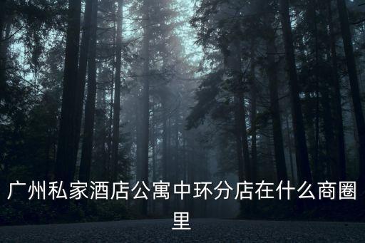 廣州永客酒店公寓，廣州私家酒店公寓中環分店在什么商圈里