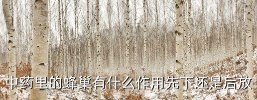 蜂巢的作用，中藥里的蜂巢有什么作用先下還是后放