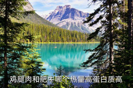 肥牛的熱量，雞腿肉和肥牛哪個熱量高蛋白質高