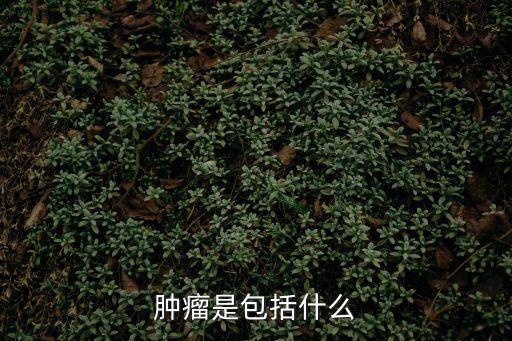 什么是腫瘤，腫瘤是包括什么