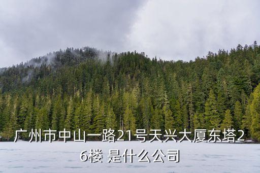 廣州市中山一路21號天興大廈東塔26樓 是什么公司