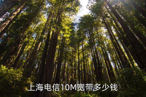 上海電信10M寬帶多少錢