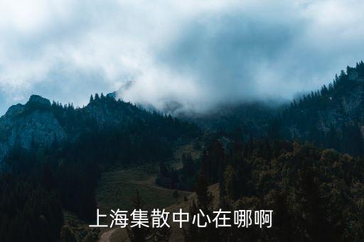 上海集散中心在哪啊