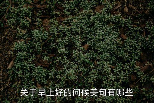 關于早上好的問候美句有哪些