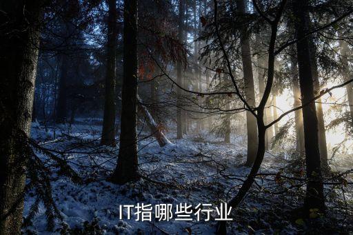 IT指哪些行業
